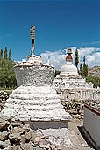 Ladakh - Chortens close to Shey palace